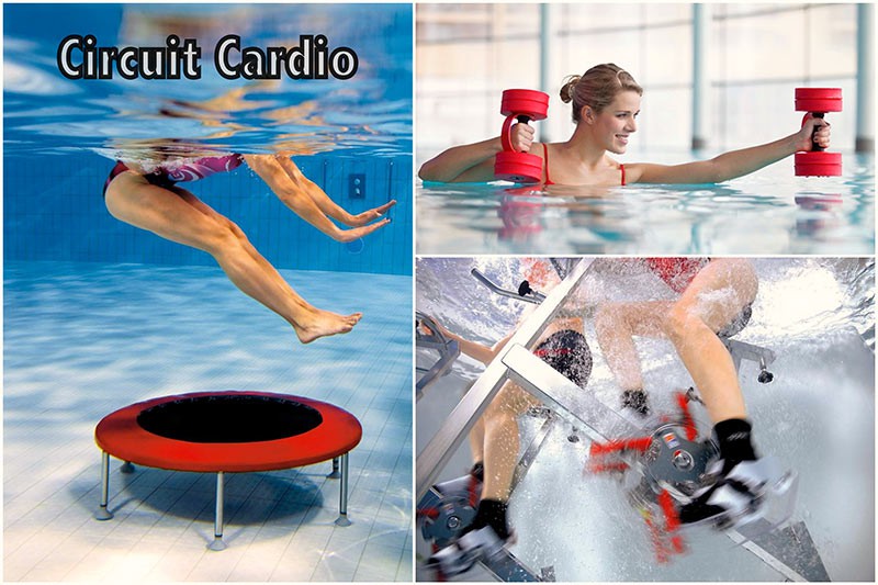 Circuit Cardio