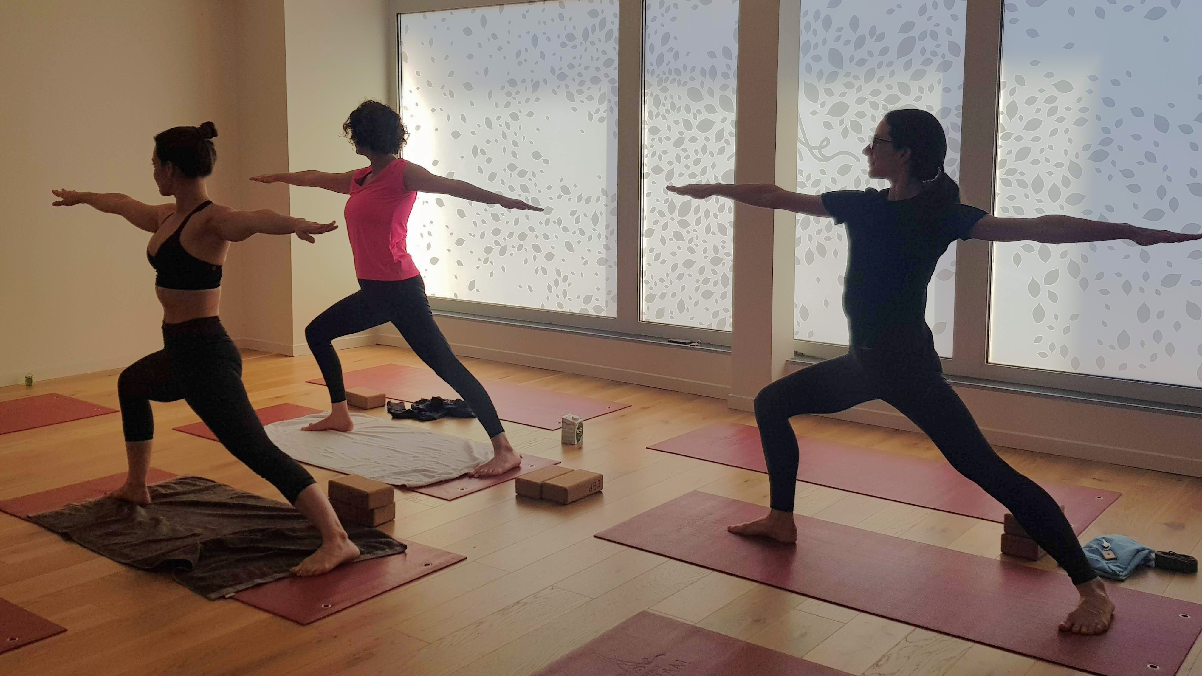 Flow Vinyasa