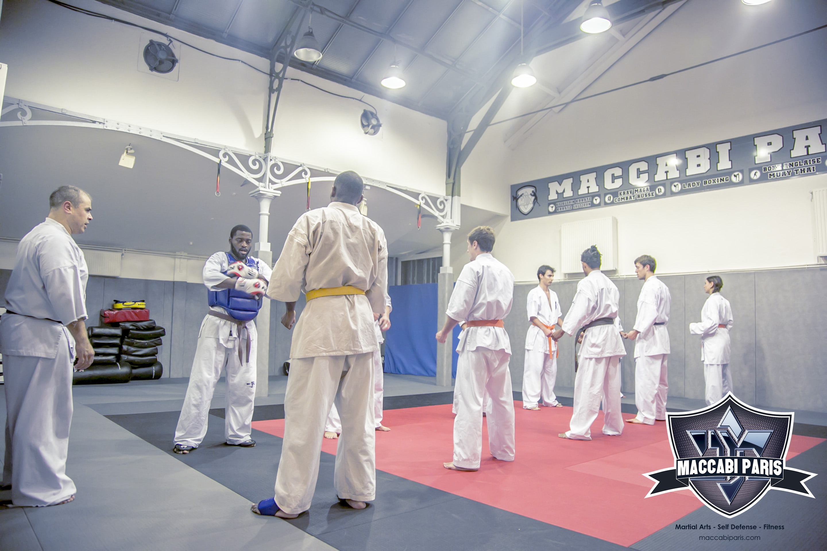 Karate Kyokushinkai