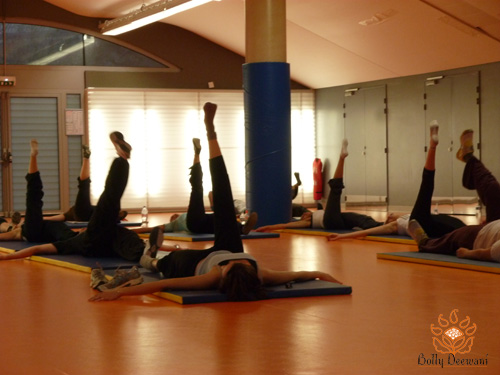 YogiWood